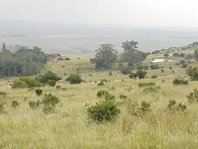 Hiplains in the Vrede District of the Eastern Free State of South Africa